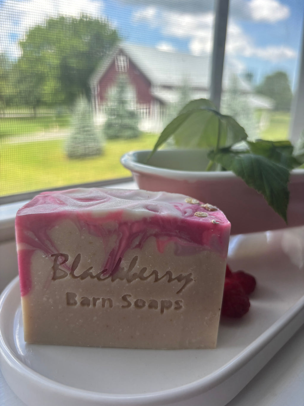 Raspberry Parfait