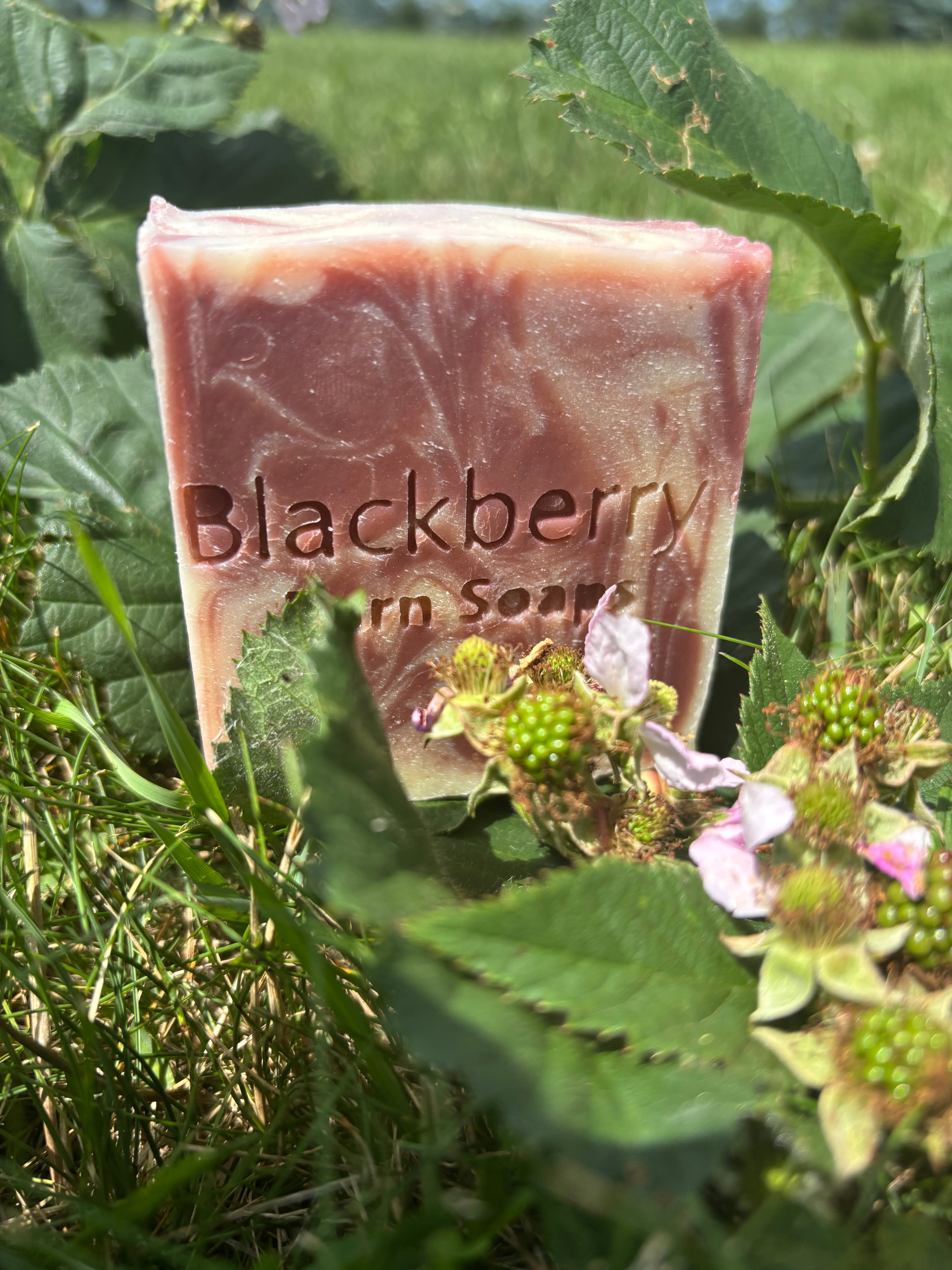 Wildwood Berry
