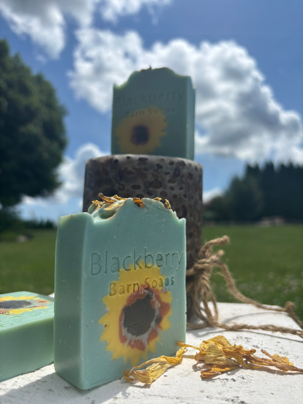 Muted Sunflower Sandalwood