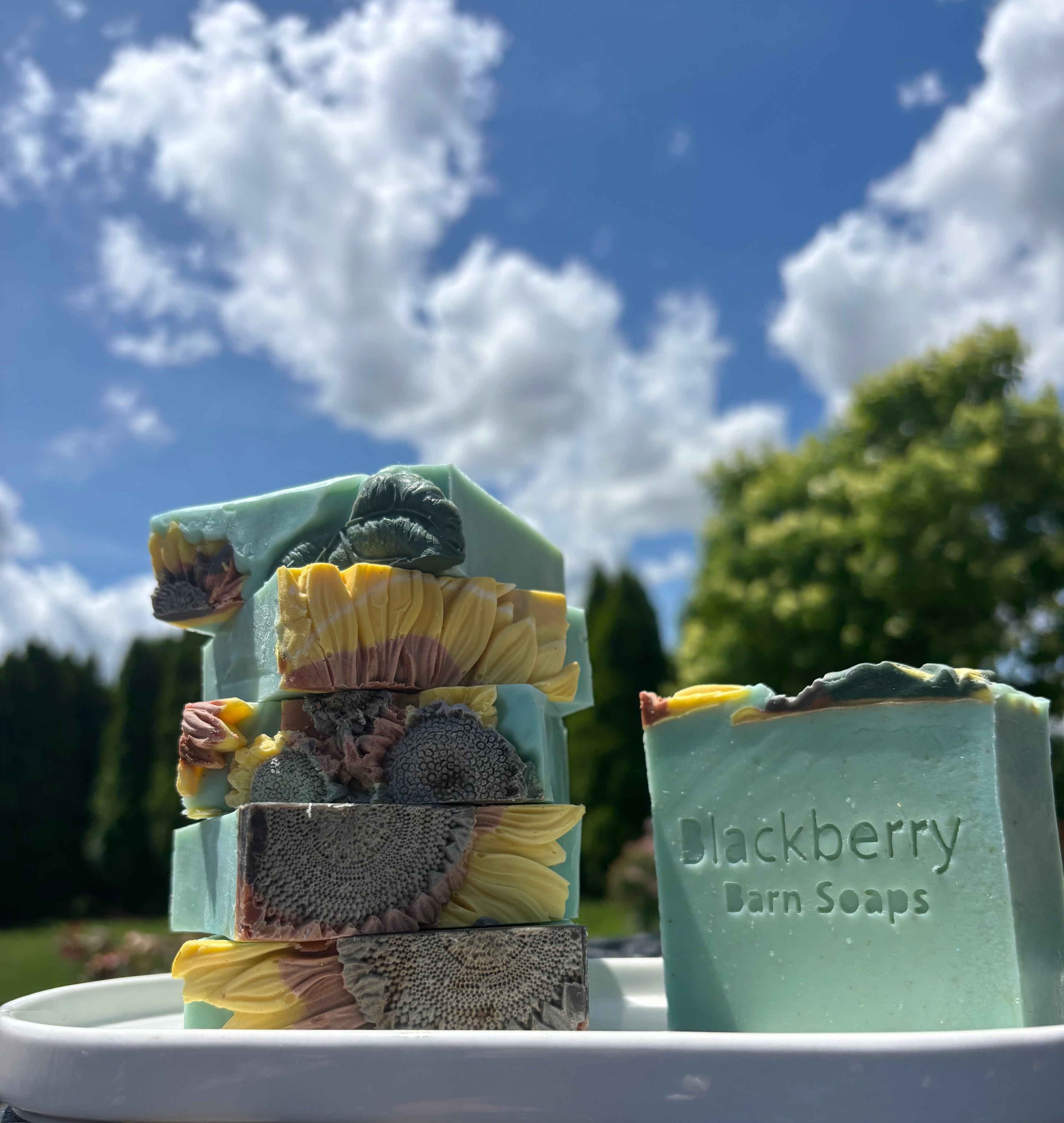 Garden Sky